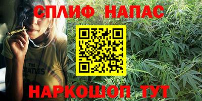 молекула духа Ставрополь